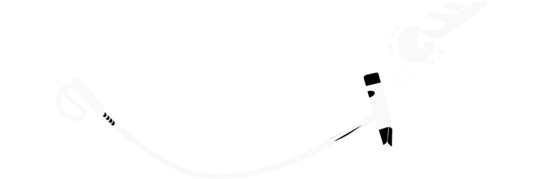 Fly Polo & Travel